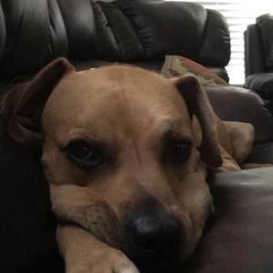 Meet your Posher, Ava